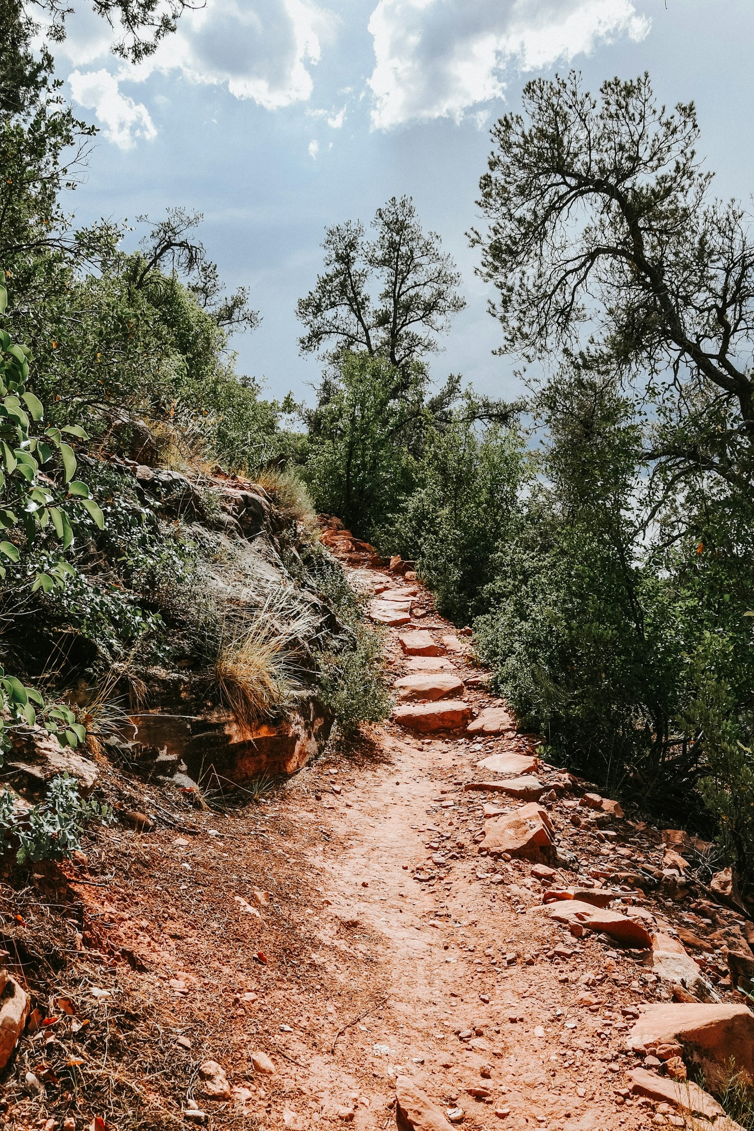 Top 10 Scenic Trails for Beginners
