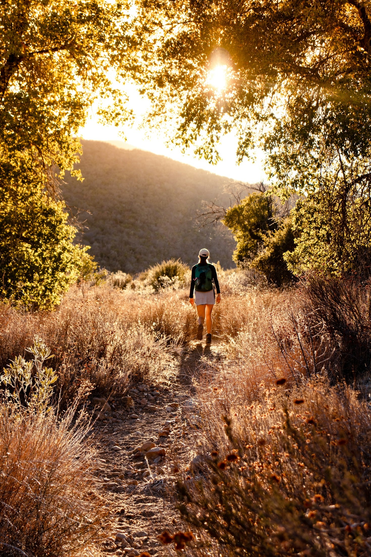 How Hiking Nourishes Your Mind and Body