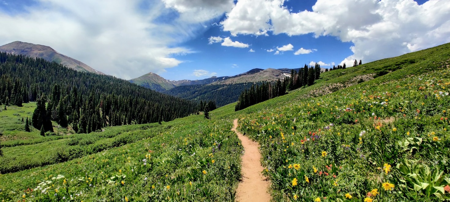 Hidden Gems: Underrated Trails You Must Visit