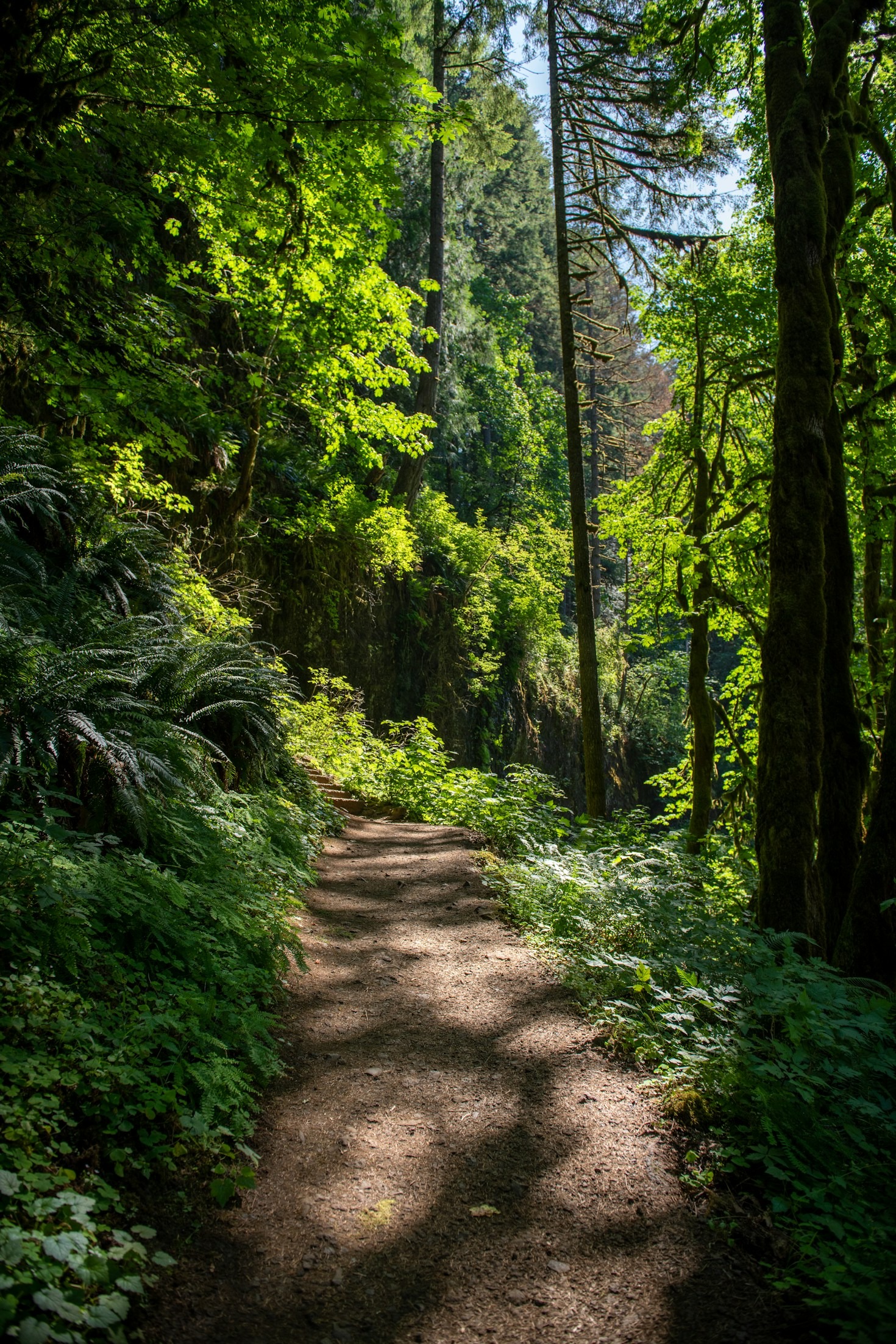 Family-Friendly Hikes Everyone Will Love