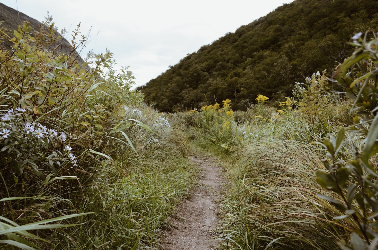 How to Plan the Perfect Weekend Hike